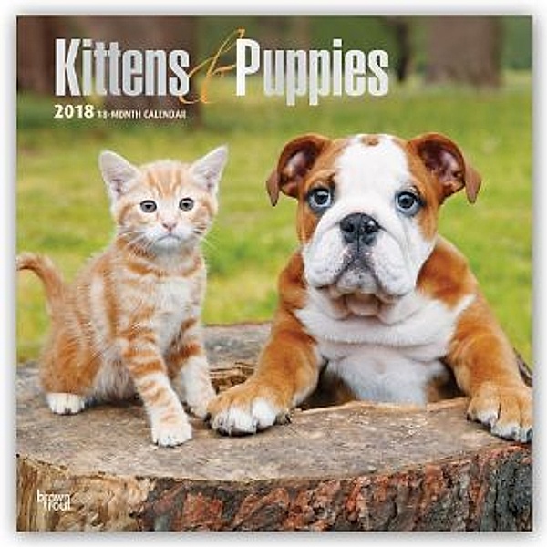 Kittens & Puppies - Kätzchen & Hundewelpen 2018 - 18-Monatskalender, BrownTrout Publisher