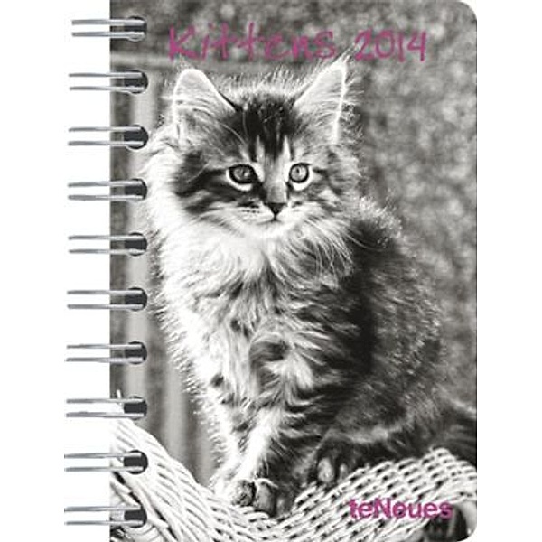 Kittens, Taschenkalender 2013
