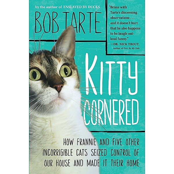 Kitty Cornered, Bob Tarte