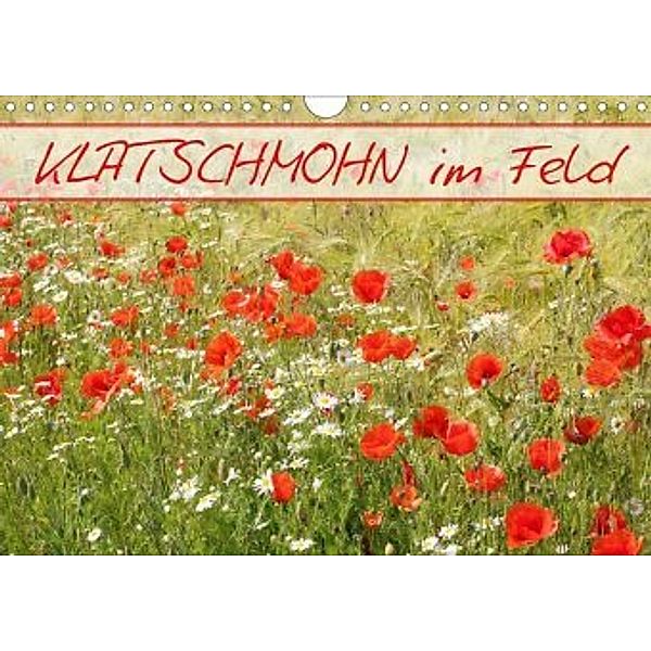 Klatschmohn im Feld (Wandkalender 2020 DIN A4 quer), Gisela Kruse