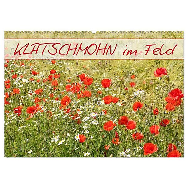 Klatschmohn im Feld (Wandkalender 2024 DIN A2 quer), CALVENDO Monatskalender, Gisela Kruse
