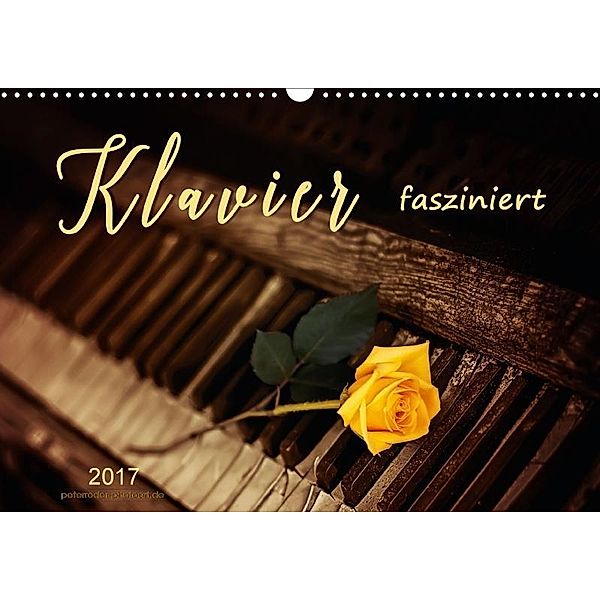 Klavier fasziniert (Wandkalender 2017 DIN A3 quer), Peter Roder