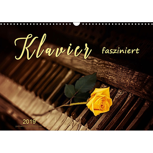 Klavier fasziniert (Wandkalender 2019 DIN A3 quer), Peter Roder