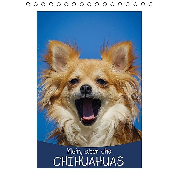 Klein, aber oho: Chihuahuas (Tischkalender 2014 DIN A5 hoch), Calvendo