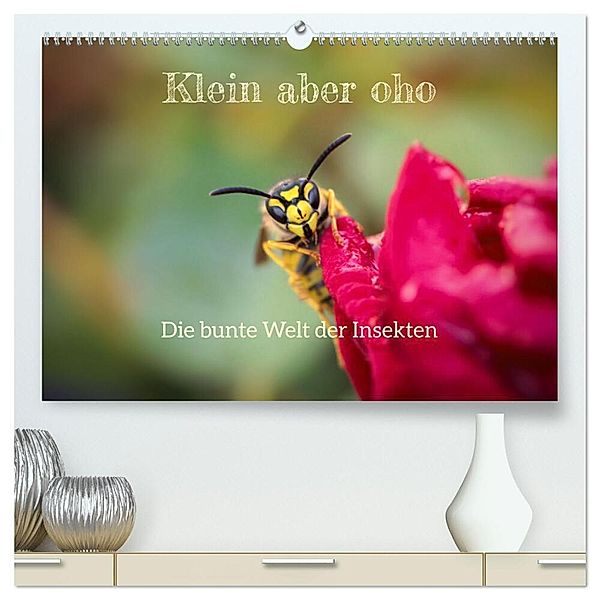 Klein aber oho. Die bunte Welt der Insekten (hochwertiger Premium Wandkalender 2025 DIN A2 quer), Kunstdruck in Hochglanz, Calvendo