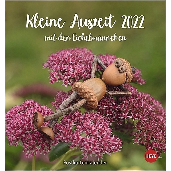 Kleine Auszeit mit den Eichelmännchen Postkartenkalender 2022