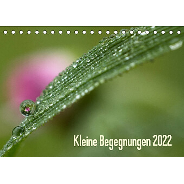 Kleine Begegnungen (Tischkalender 2022 DIN A5 quer), Gisela Farenholtz