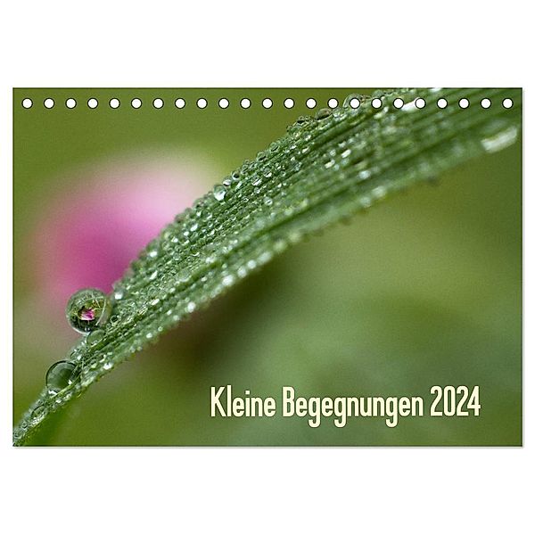 Kleine Begegnungen (Tischkalender 2024 DIN A5 quer), CALVENDO Monatskalender, Gisela Farenholtz