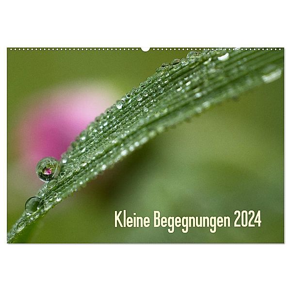 Kleine Begegnungen (Wandkalender 2024 DIN A2 quer), CALVENDO Monatskalender, Gisela Farenholtz