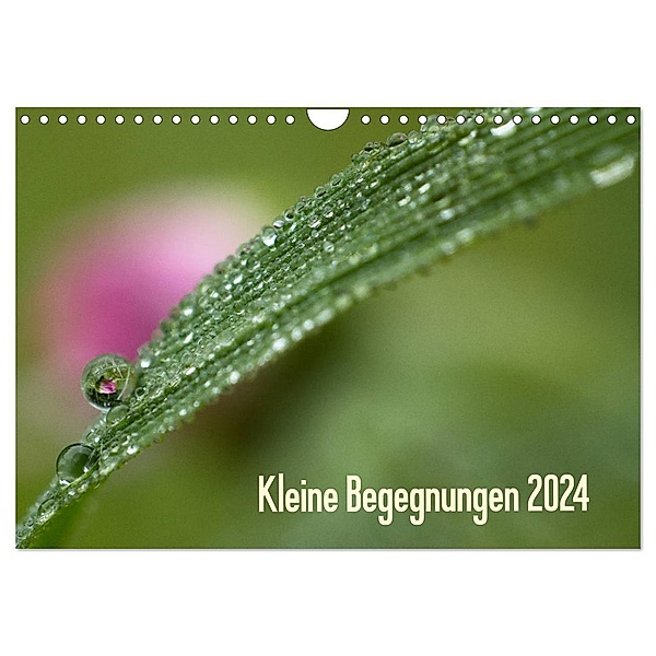 Kleine Begegnungen (Wandkalender 2024 DIN A4 quer), CALVENDO Monatskalender, Gisela Farenholtz