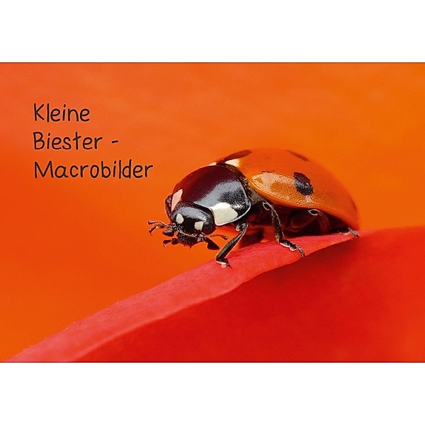 Kleine Biester - Macrobilder (Posterbuch DIN A2 quer), Martin Zänkert
