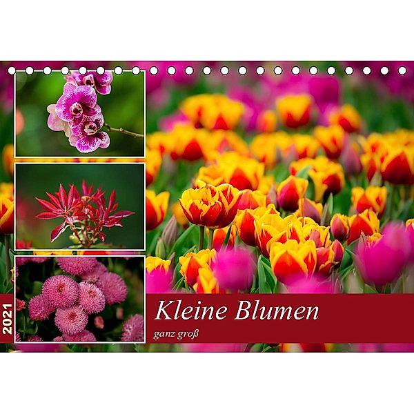 Kleine Blumen ganz groß (Tischkalender 2021 DIN A5 quer), M. Reznicek