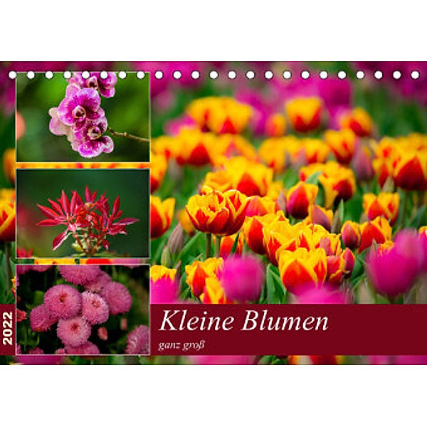 Kleine Blumen ganz groß (Tischkalender 2022 DIN A5 quer), M. Reznicek