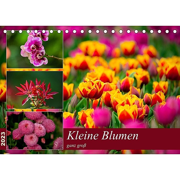 Kleine Blumen ganz groß (Tischkalender 2023 DIN A5 quer), M. Reznicek