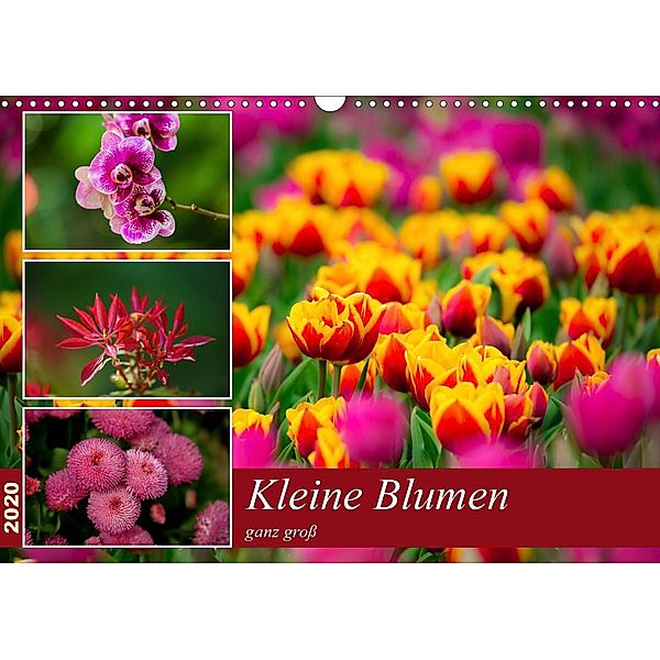Kleine Blumen ganz groß (Wandkalender 2020 DIN A3 quer), M. Reznicek