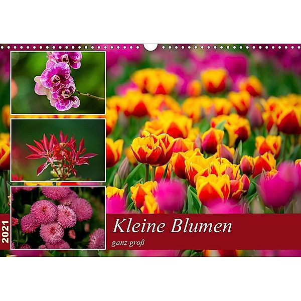 Kleine Blumen ganz groß (Wandkalender 2021 DIN A3 quer), M. Reznicek