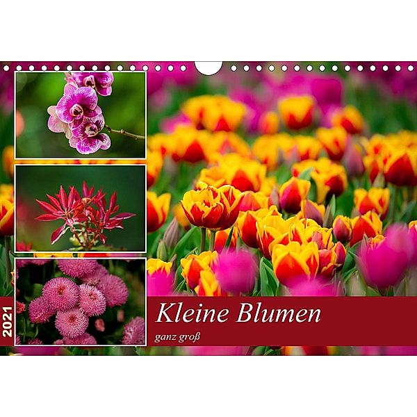 Kleine Blumen ganz groß (Wandkalender 2021 DIN A4 quer), M. Reznicek