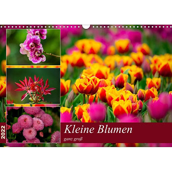 Kleine Blumen ganz groß (Wandkalender 2022 DIN A3 quer), M. Reznicek