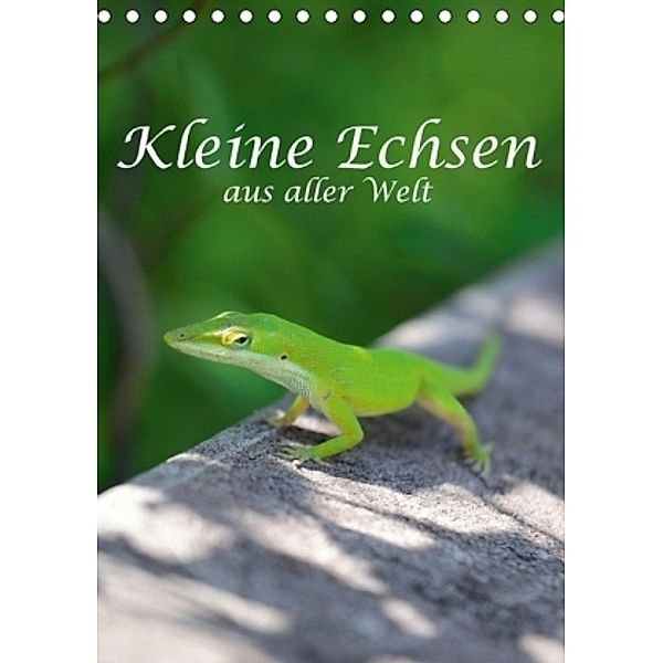 Kleine Echsen aus aller Welt (Tischkalender 2017 DIN A5 hoch), ROBERT STYPPA