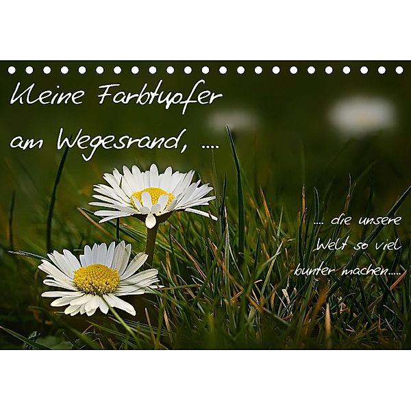 kleine Farbtupfer am Wegesrand (Tischkalender 2018 DIN A5 quer), N N