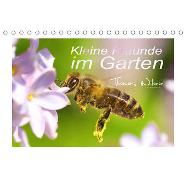 Kleine Freunde im Garten (Tischkalender 2022 DIN A5 quer), Thomas Willerer