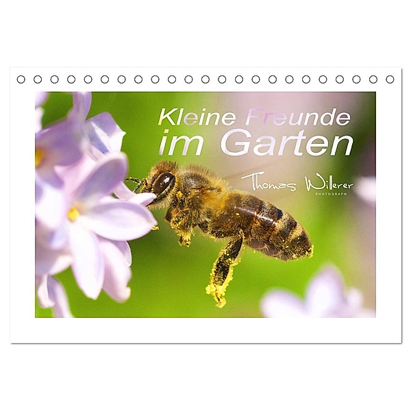 Kleine Freunde im Garten (Tischkalender 2024 DIN A5 quer), CALVENDO Monatskalender, Thomas Willerer