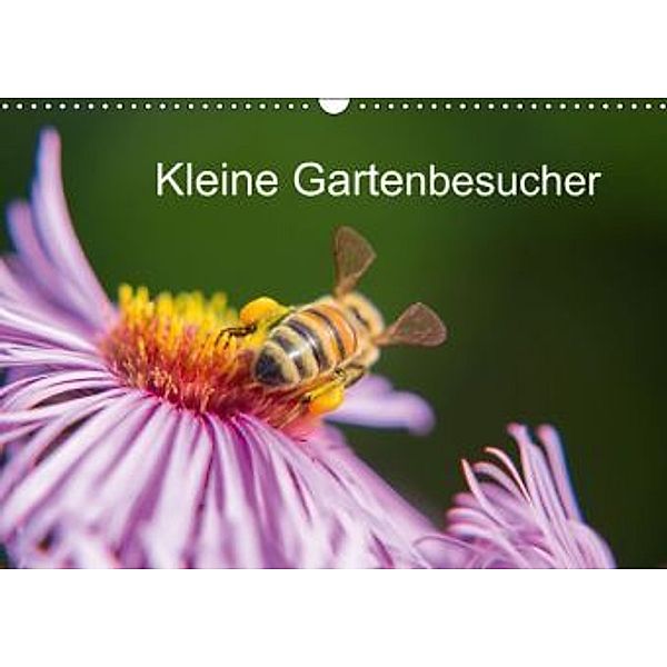 Kleine Gartenbesucher (Wandkalender 2014 DIN A3 quer), Rainer Homburger