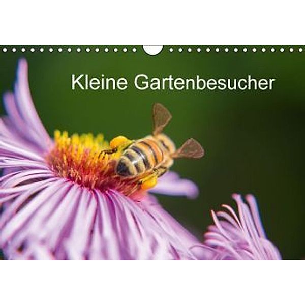 Kleine Gartenbesucher (Wandkalender 2016 DIN A4 quer), Rainer Homburger