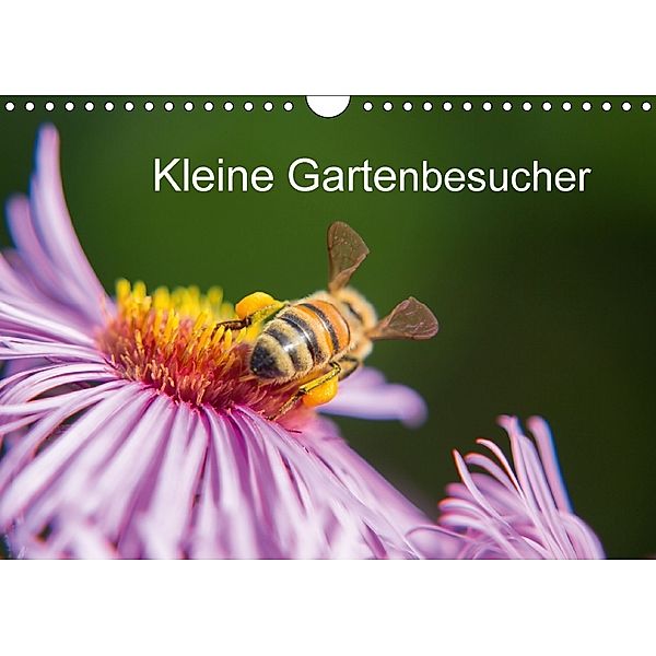 Kleine Gartenbesucher (Wandkalender 2018 DIN A4 quer), Rainer Homburger