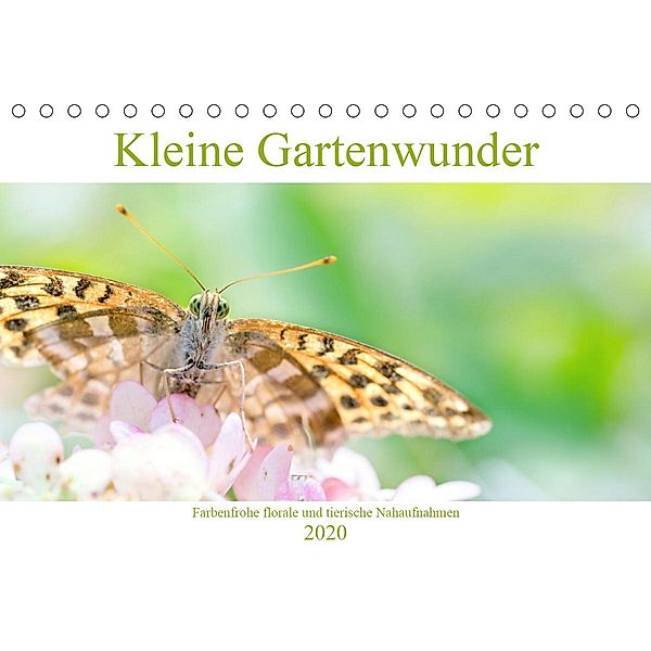 Kleine Gartenwunder (Tischkalender 2020 DIN A5 quer), Linda Geisdorf