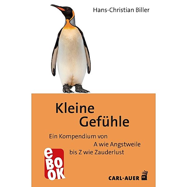 Kleine Gefühle, Hans-Christian Biller