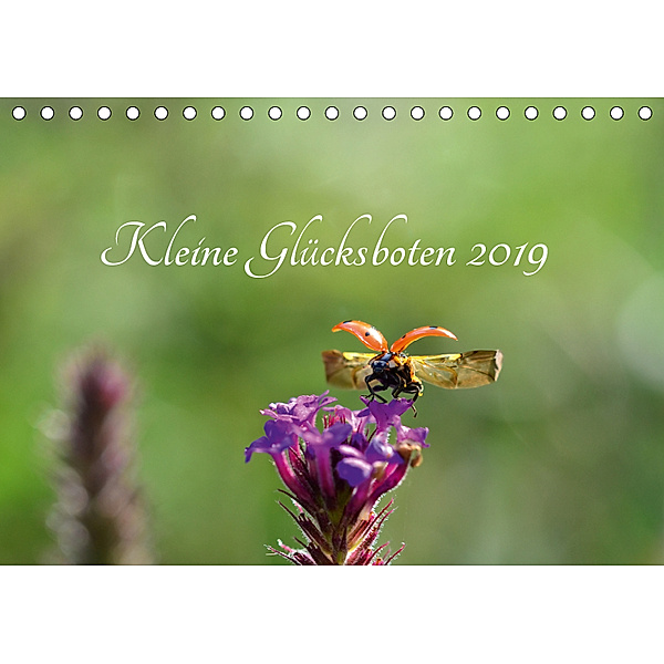 Kleine Glücksboten (Tischkalender 2019 DIN A5 quer), Diana Schröder