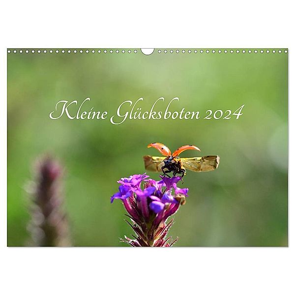 Kleine Glücksboten (Wandkalender 2024 DIN A3 quer), CALVENDO Monatskalender, Diana Schröder