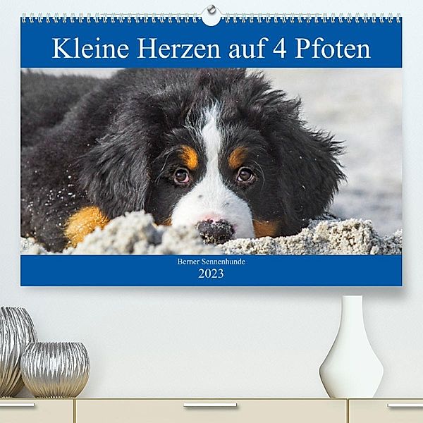 Kleine Herzen auf 4 Pfoten - Berner Sennenhunde (Premium, hochwertiger DIN A2 Wandkalender 2023, Kunstdruck in Hochglanz, Sigrid Starick