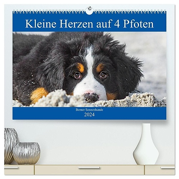 Kleine Herzen auf 4 Pfoten - Berner Sennenhunde (hochwertiger Premium Wandkalender 2024 DIN A2 quer), Kunstdruck in Hochglanz, Sigrid Starick