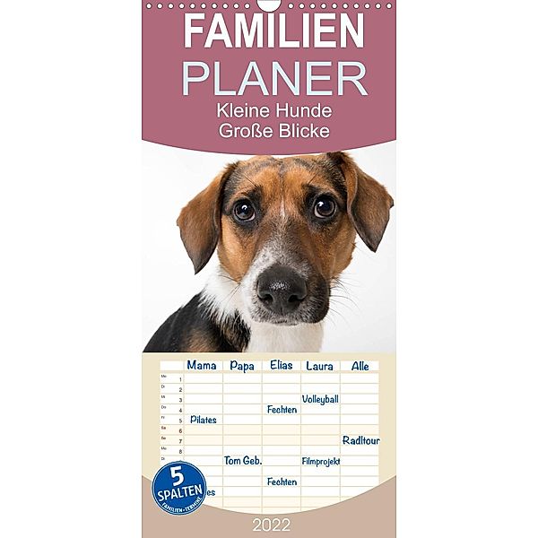 Kleine Hunde - Große Blicke - Familienplaner hoch (Wandkalender 2022 , 21 cm x 45 cm, hoch), Akrema-Photography