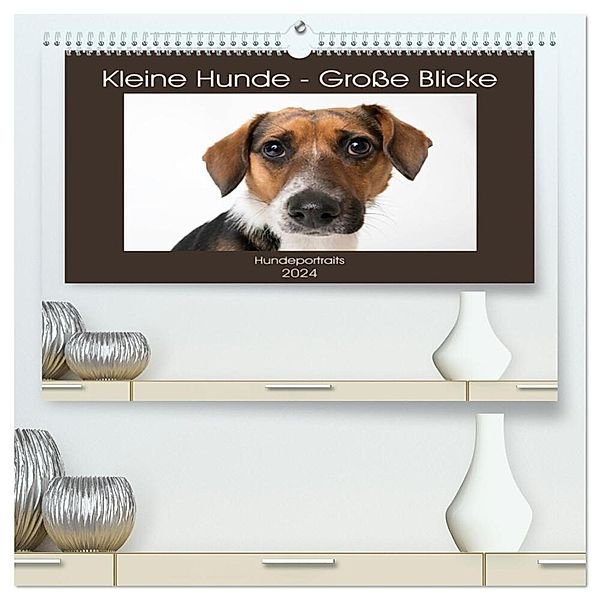 Kleine Hunde - Große Blicke (hochwertiger Premium Wandkalender 2024 DIN A2 quer), Kunstdruck in Hochglanz, Akrema-Photography