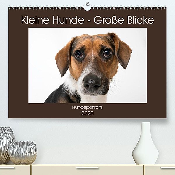 Kleine Hunde - Große Blicke (Premium-Kalender 2020 DIN A2 quer)