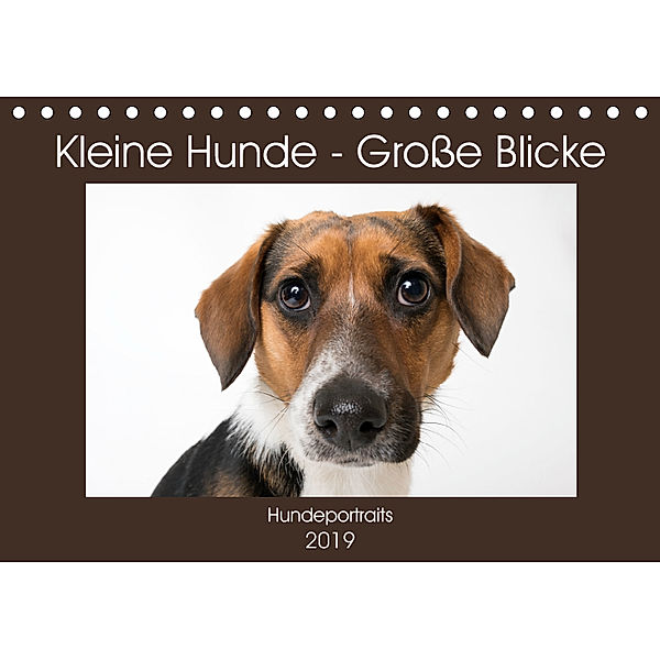 Kleine Hunde - Große Blicke (Tischkalender 2019 DIN A5 quer), Akrema-Photography