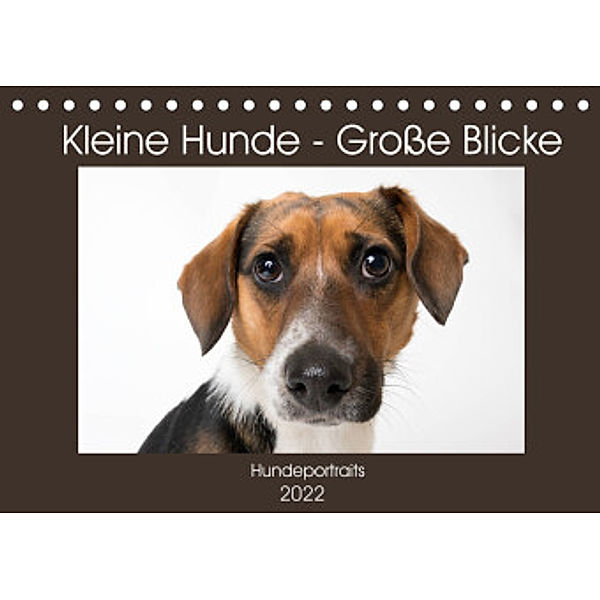 Kleine Hunde - Große Blicke (Tischkalender 2022 DIN A5 quer), Akrema-Photography