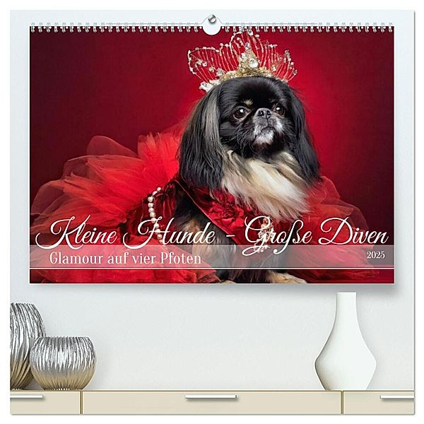 Kleine Hunde - Grosse Diven (hochwertiger Premium Wandkalender 2025 DIN A2 quer), Kunstdruck in Hochglanz, Calvendo, Fotodesign Verena Scholze