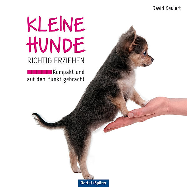 Kleine Hunde richtig erziehen, David Keulert