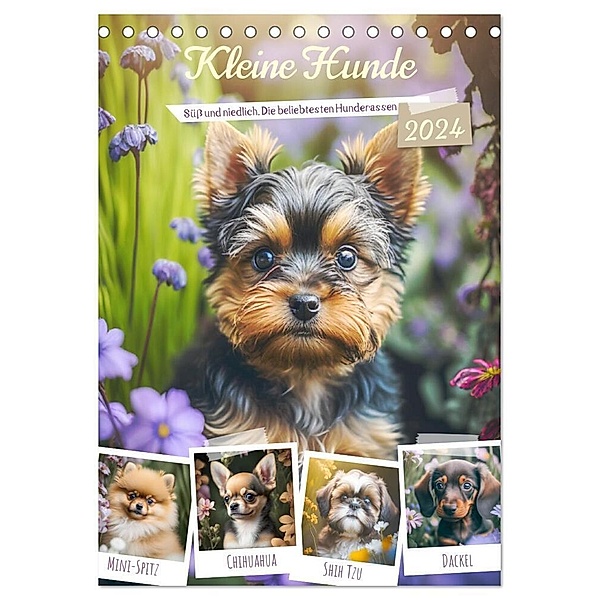 Kleine Hunde. Süss und niedlich. Die beliebtesten Hunderassen (Tischkalender 2024 DIN A5 hoch), CALVENDO Monatskalender, Rose Hurley