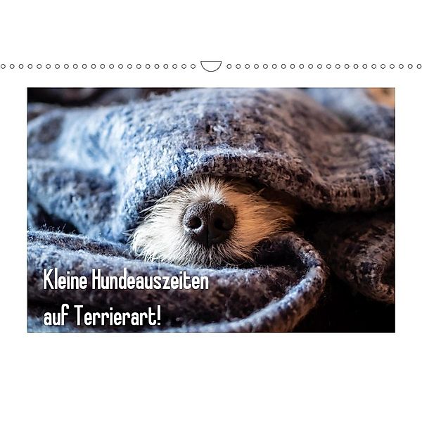 Kleine Hundeauszeiten auf Terrierart!AT-Version (Wandkalender 2020 DIN A3 quer), Sonja Rachbauer