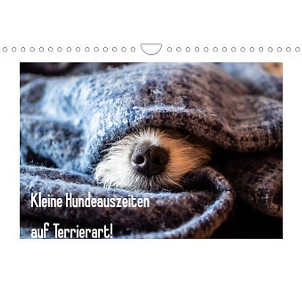 Kleine Hundeauszeiten auf Terrierart!AT-Version (Wandkalender 2022 DIN A4 quer), Sonja Rachbauer