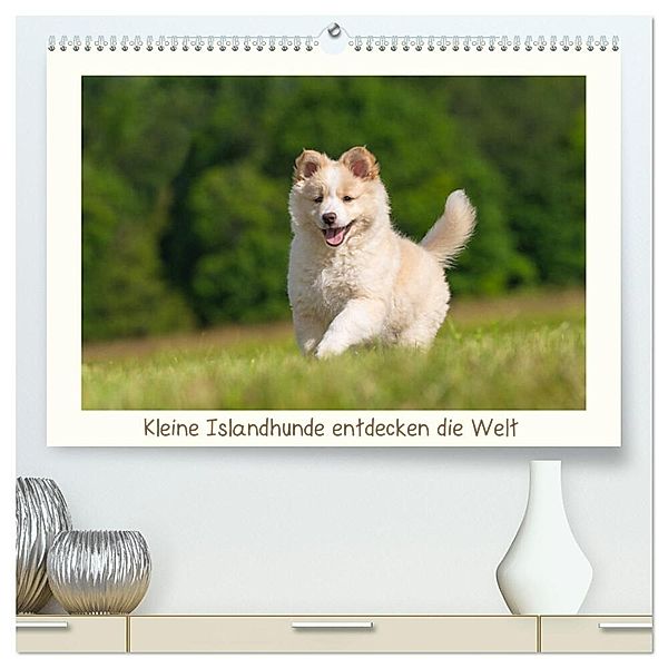 Kleine Islandhunde entdecken die Welt (hochwertiger Premium Wandkalender 2024 DIN A2 quer), Kunstdruck in Hochglanz, Monika Scheurer