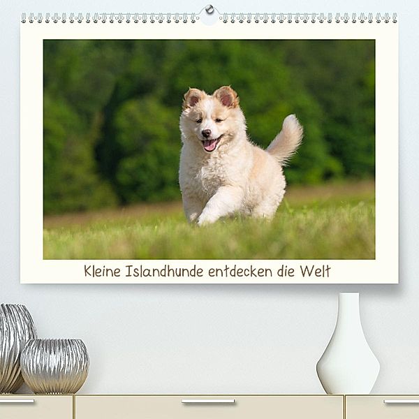 Kleine Islandhunde entdecken die Welt (Premium, hochwertiger DIN A2 Wandkalender 2023, Kunstdruck in Hochglanz), Monika Scheurer