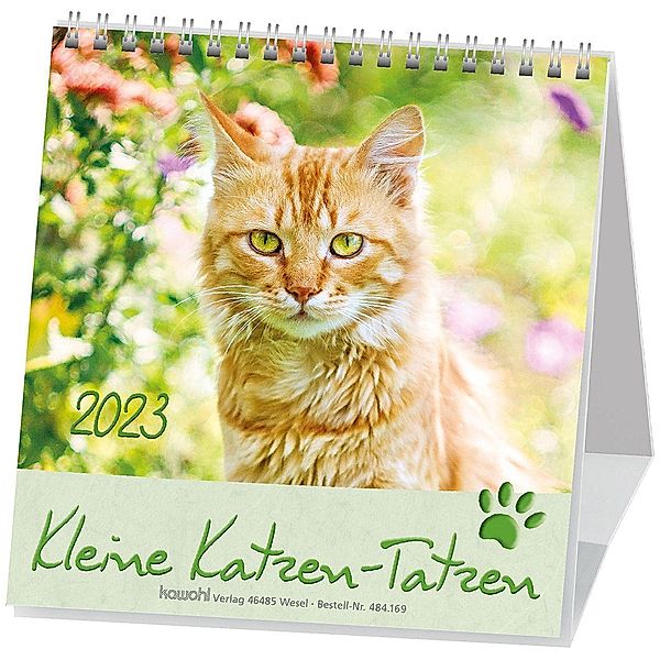 Kleine Katzen-Tatzen 2023