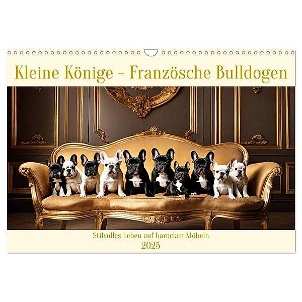 Kleine Könige - Französische Bulldoggen (Wandkalender 2025 DIN A3 quer), CALVENDO Monatskalender, Calvendo, Claudia Kleemann