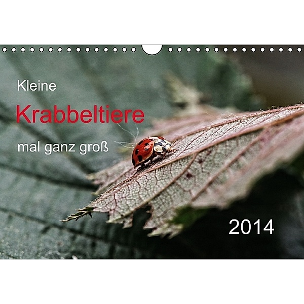 Kleine Krabbeltiere mal ganz groß (Wandkalender 2014 DIN A4 quer), Hernegger Arnold